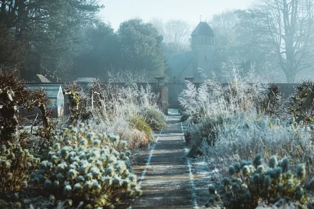 beau jardin en hiver allée